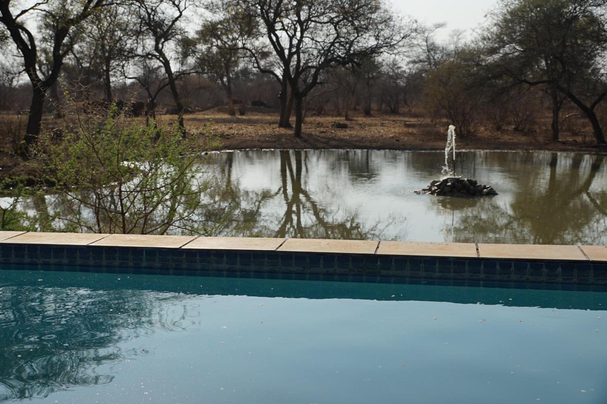 Kwele Game Lodge Beauty Esterno foto